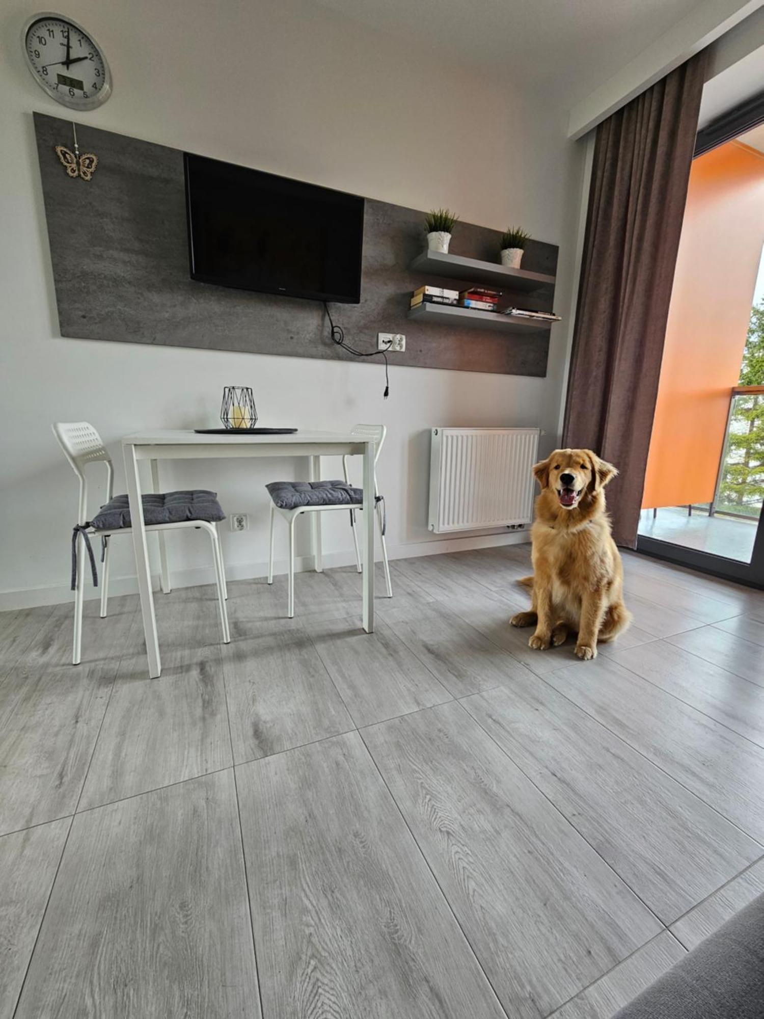 Apartament B106 - Residence Jastrzębia Góra Buitenkant foto